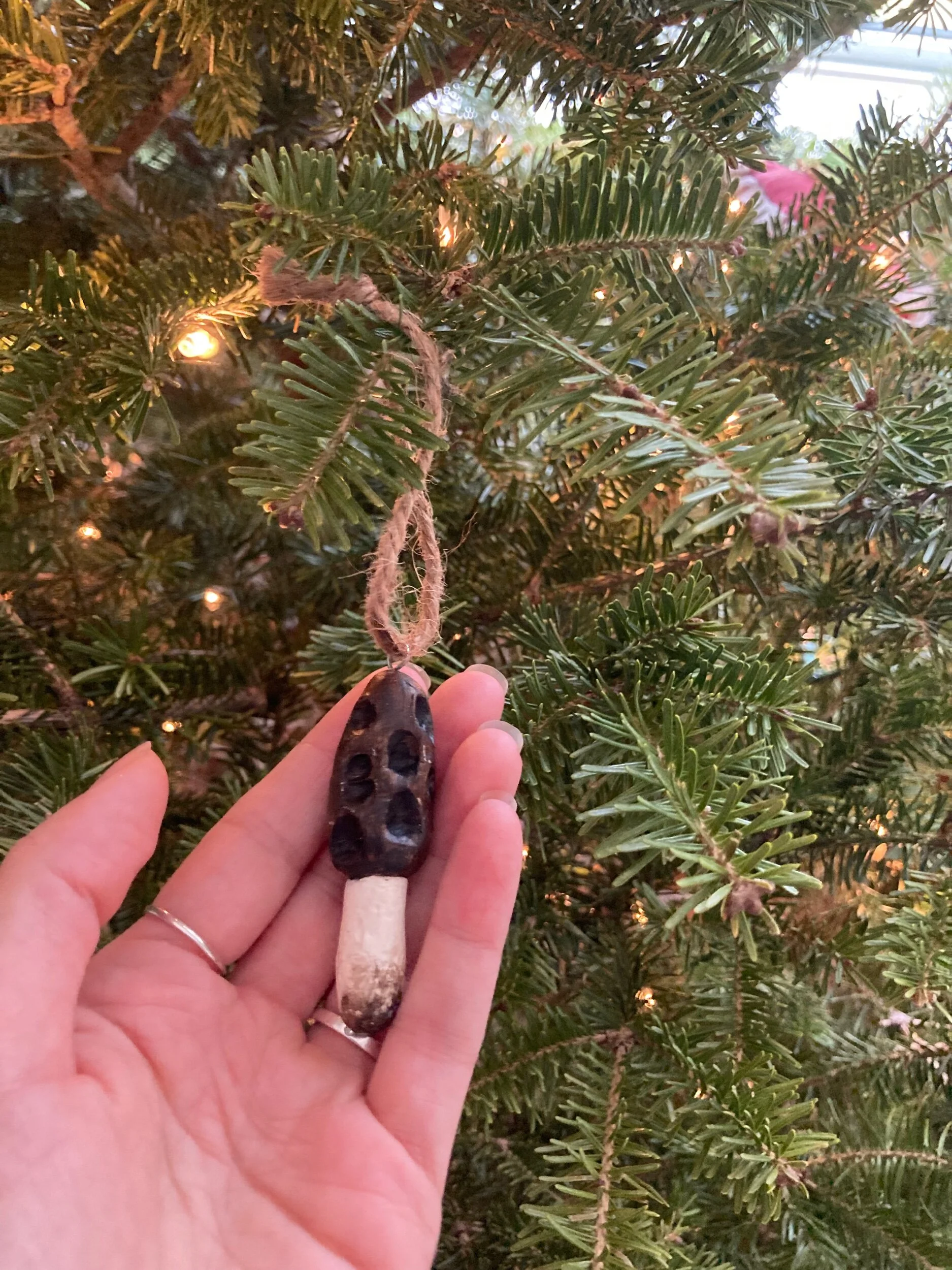 4F44F97F-73FD-4DE1-A582-28620E577F0E