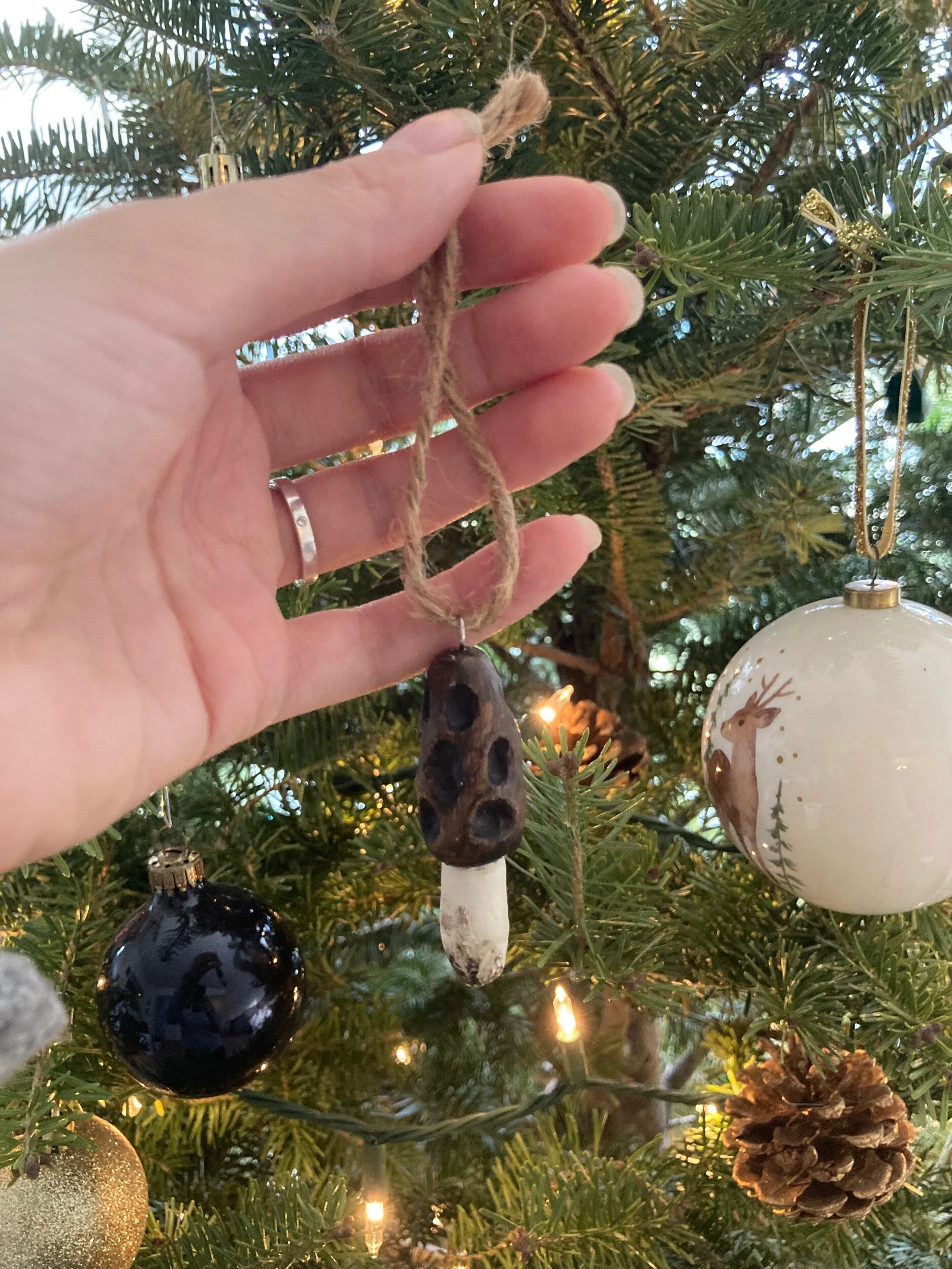 6A826FB8-1912-4E7E-B22F-458BF90A8AF7