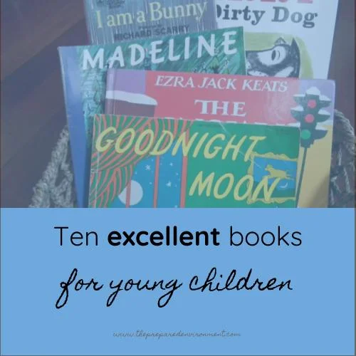 Ten Excellent Books for Young Children.jpg