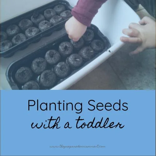 Planting Seeds with a Toddler.jpg