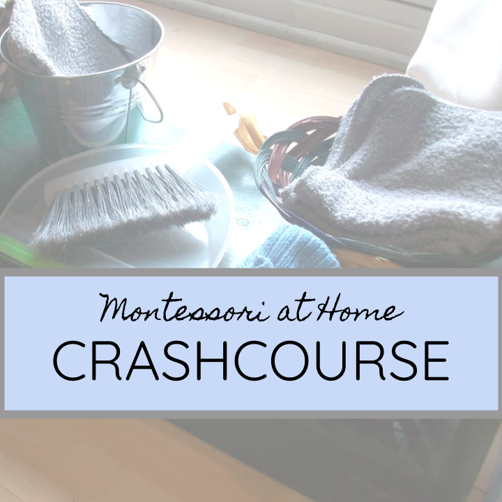 Montessori at Home Crashcourse home square.png