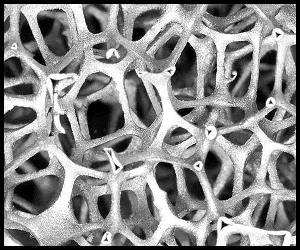 metal_foam_2.jpg