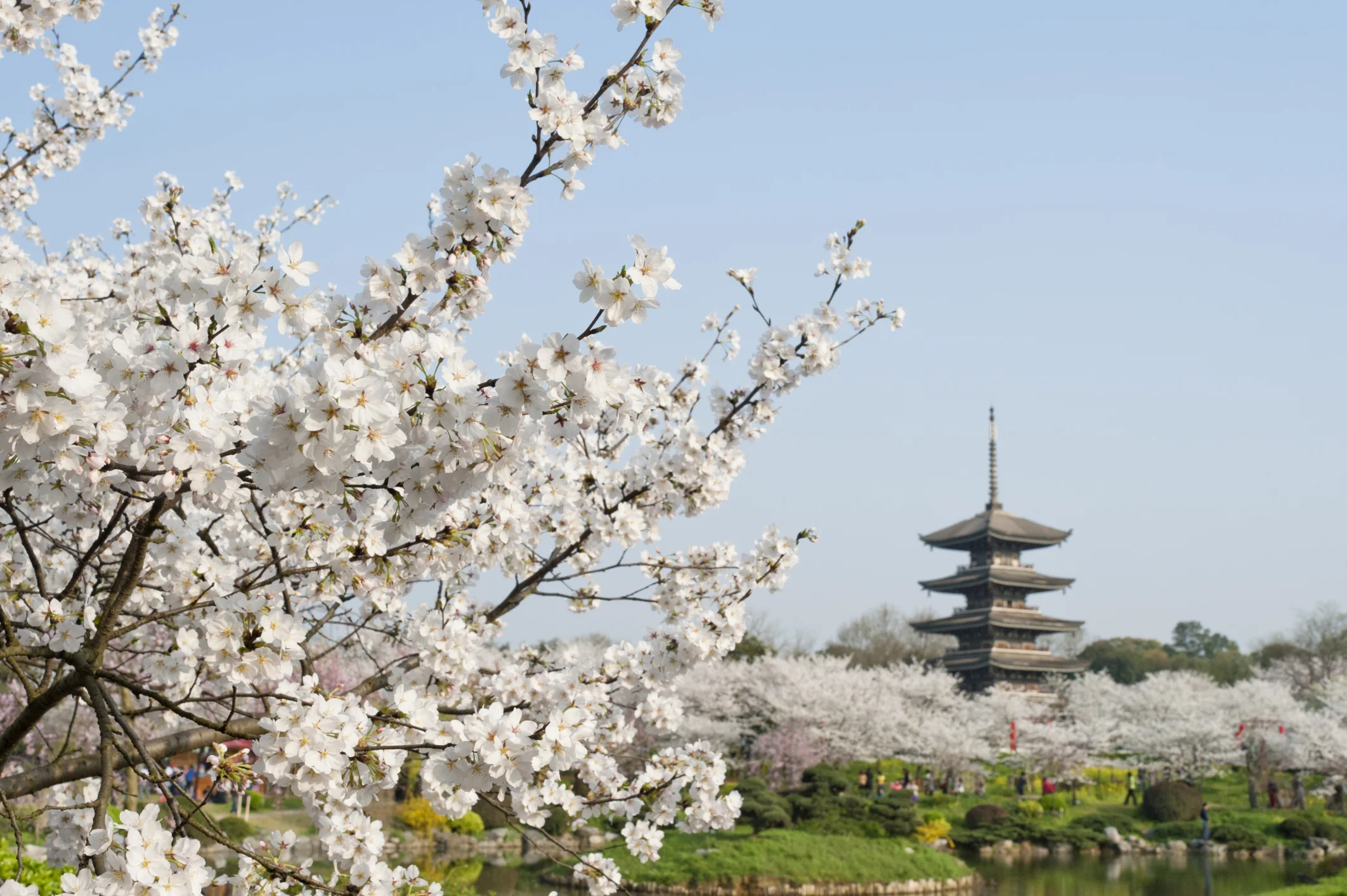 Photo by HU-JUN/iStock / Getty Images