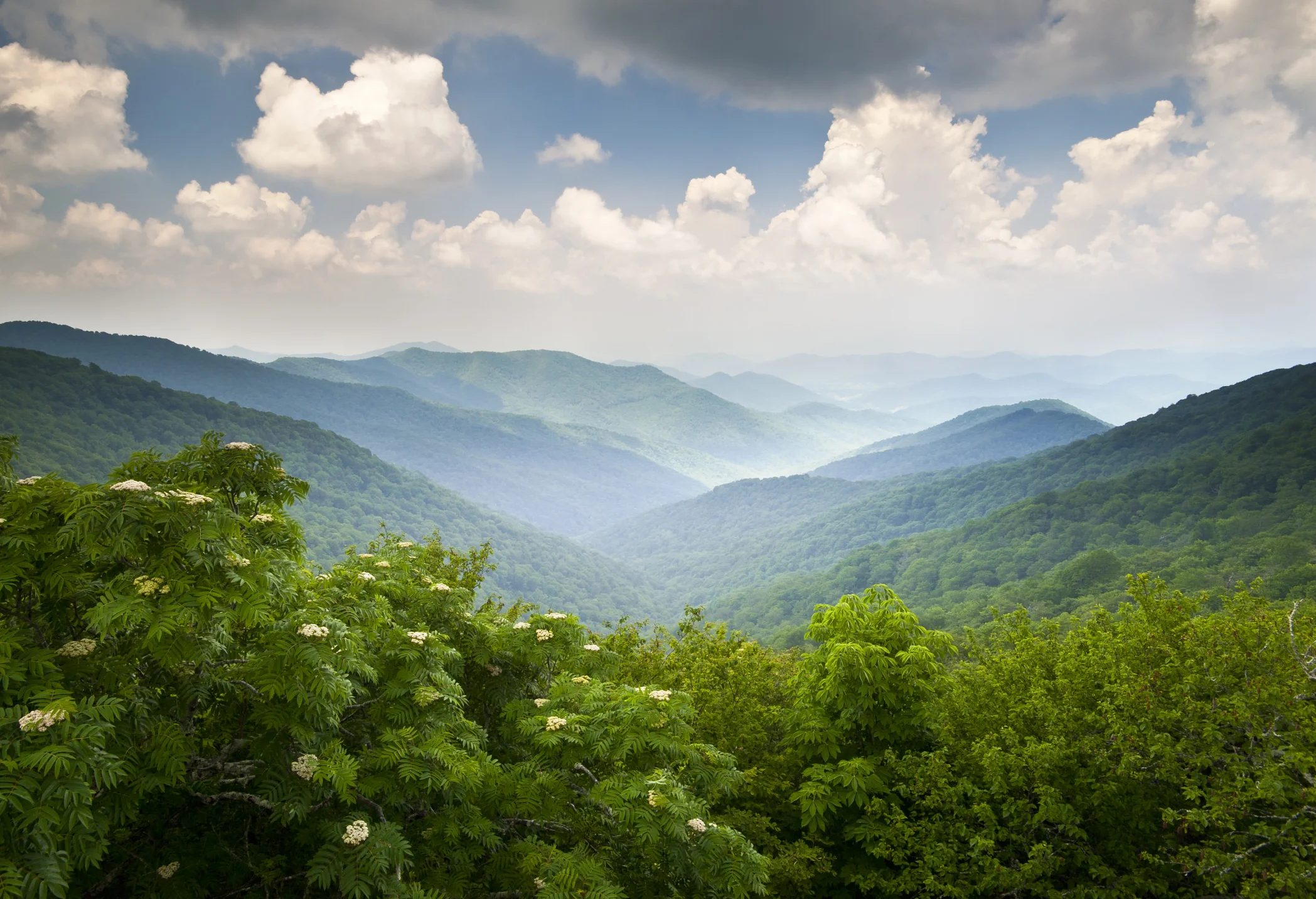 Photo by Dave Allen Photography/iStock / Getty Images