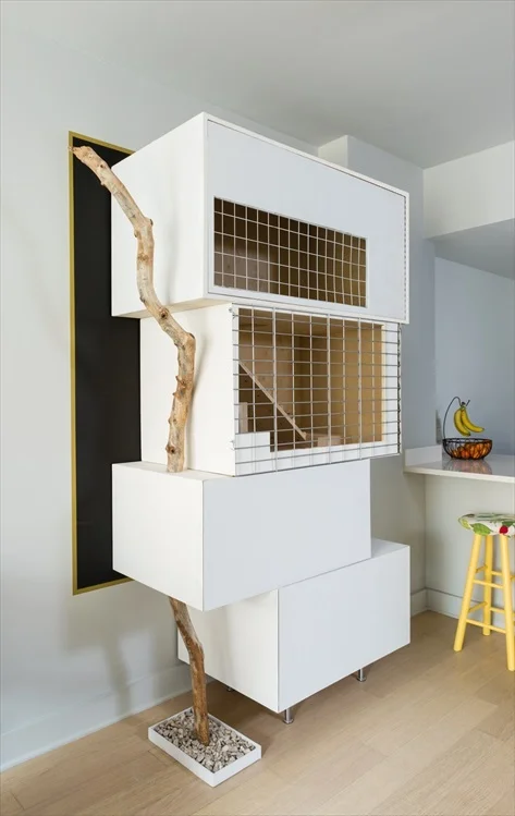 modern rabbit hutch