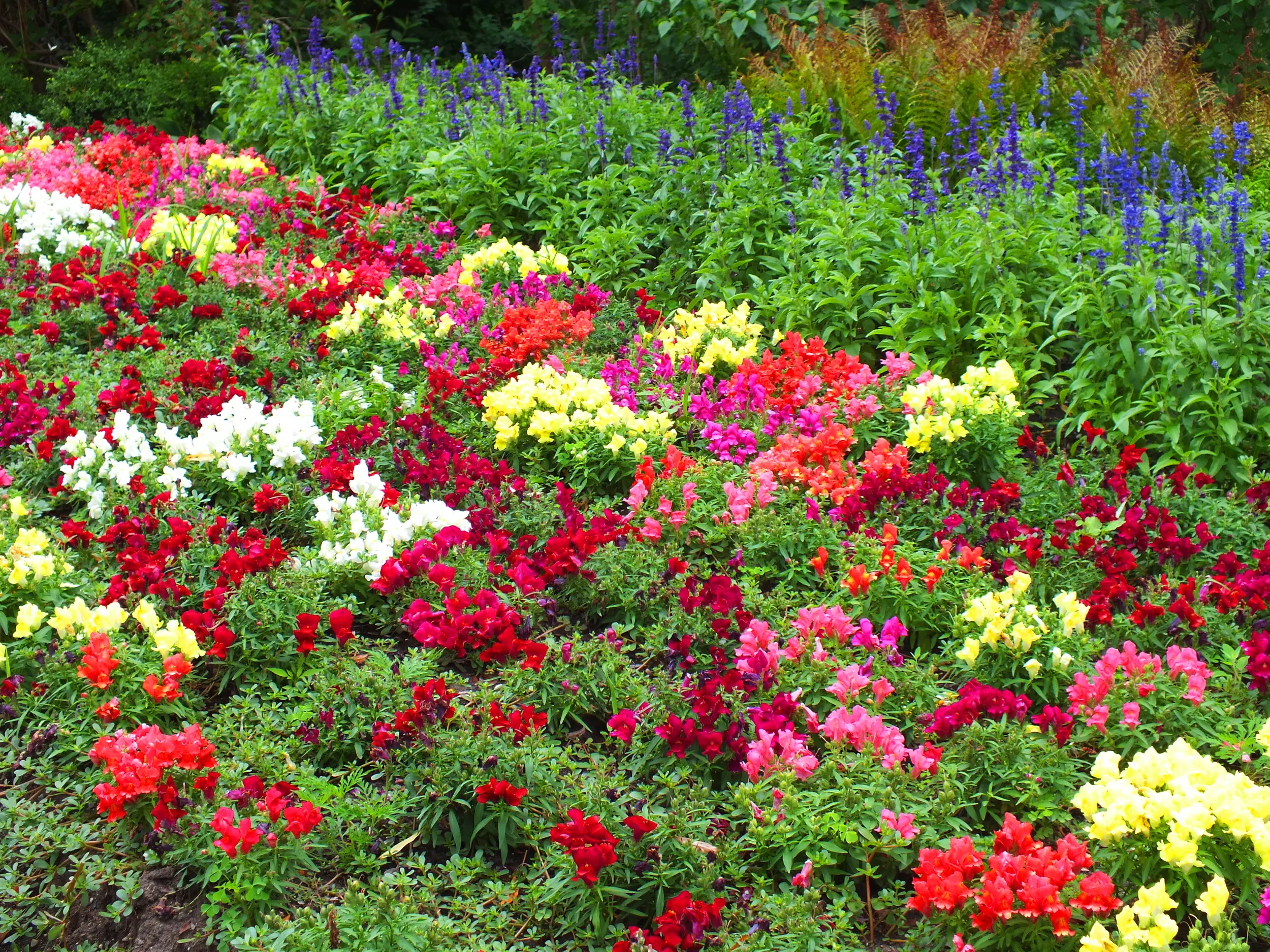 The Art of Gardening