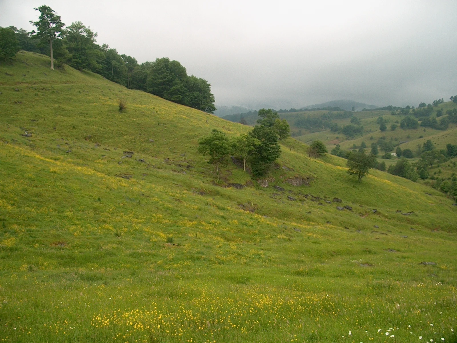 West Virginia Countryside