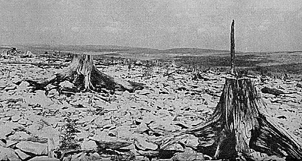 This old photograph looks from Cabin Mountain into the northern stretches of the Dolly Sods Wilderness. Today, over 100 years later, the summit of Cabin Mountain is still devoid of trees and soil.