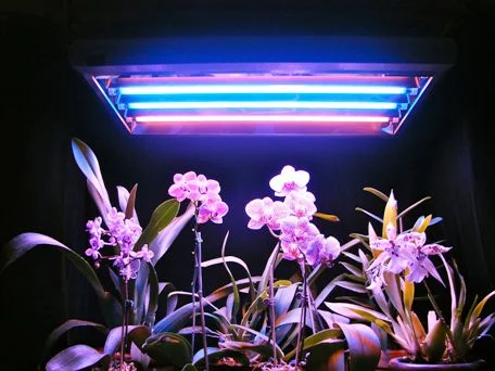 T5-fluorescent-grow-lights-Simple.jpg