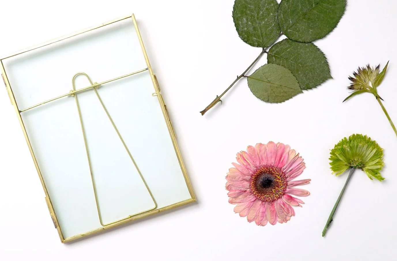 ftd-press-flowers-frame-step1.jpg