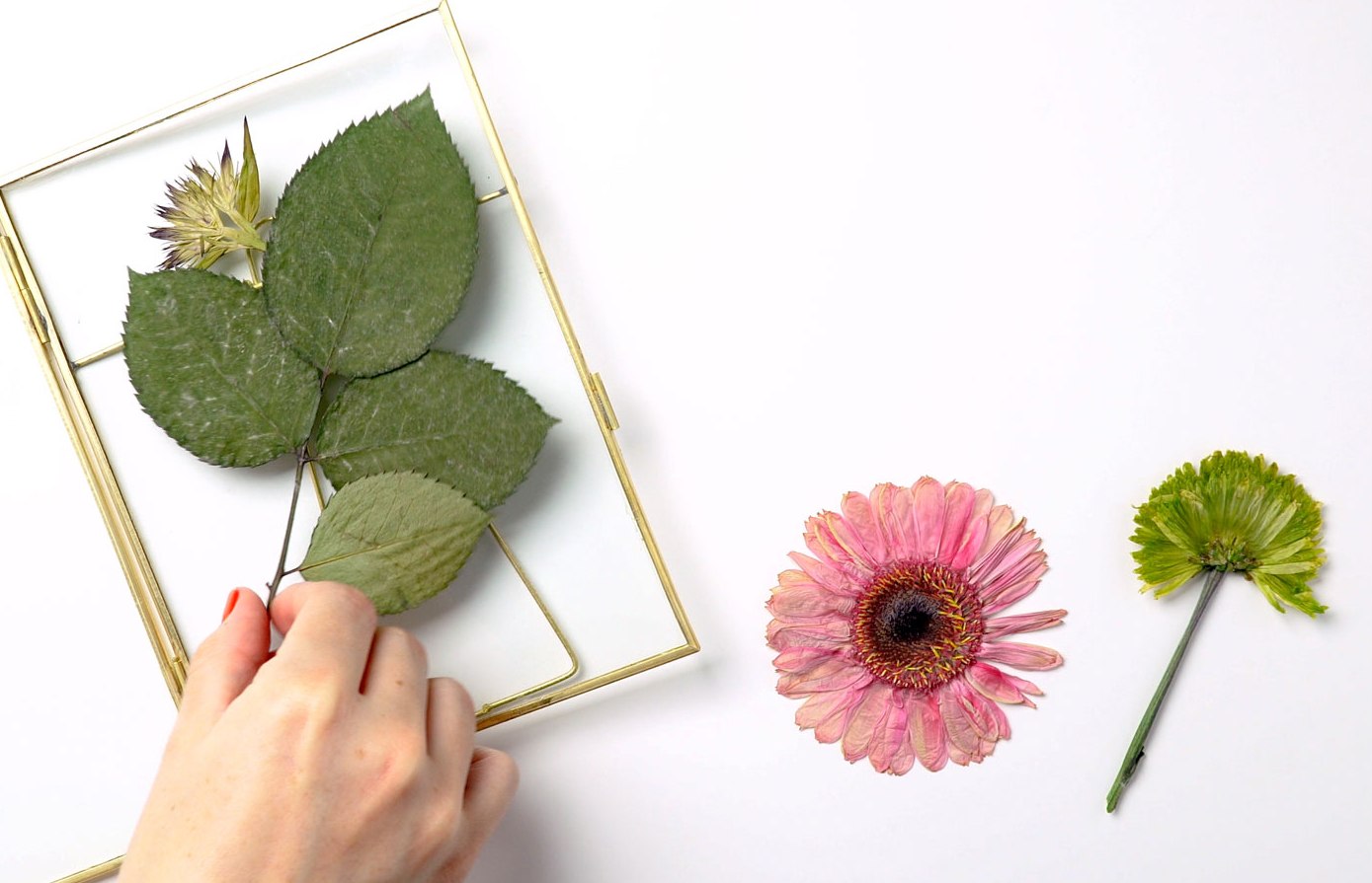 How To Press Flowers With A Flower Press