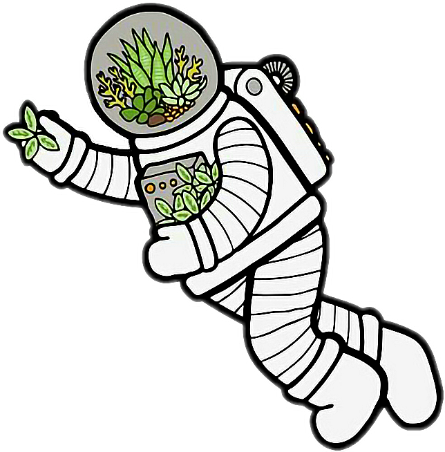 128-1285586_space-astronaut-plant-leaf-plants-spaceman-outer-space.png