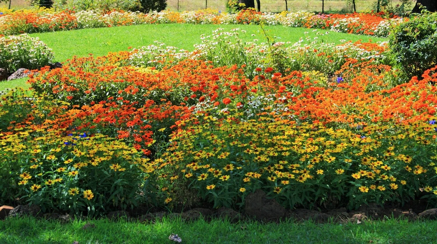 flower-garden-1399573654cJg.jpg