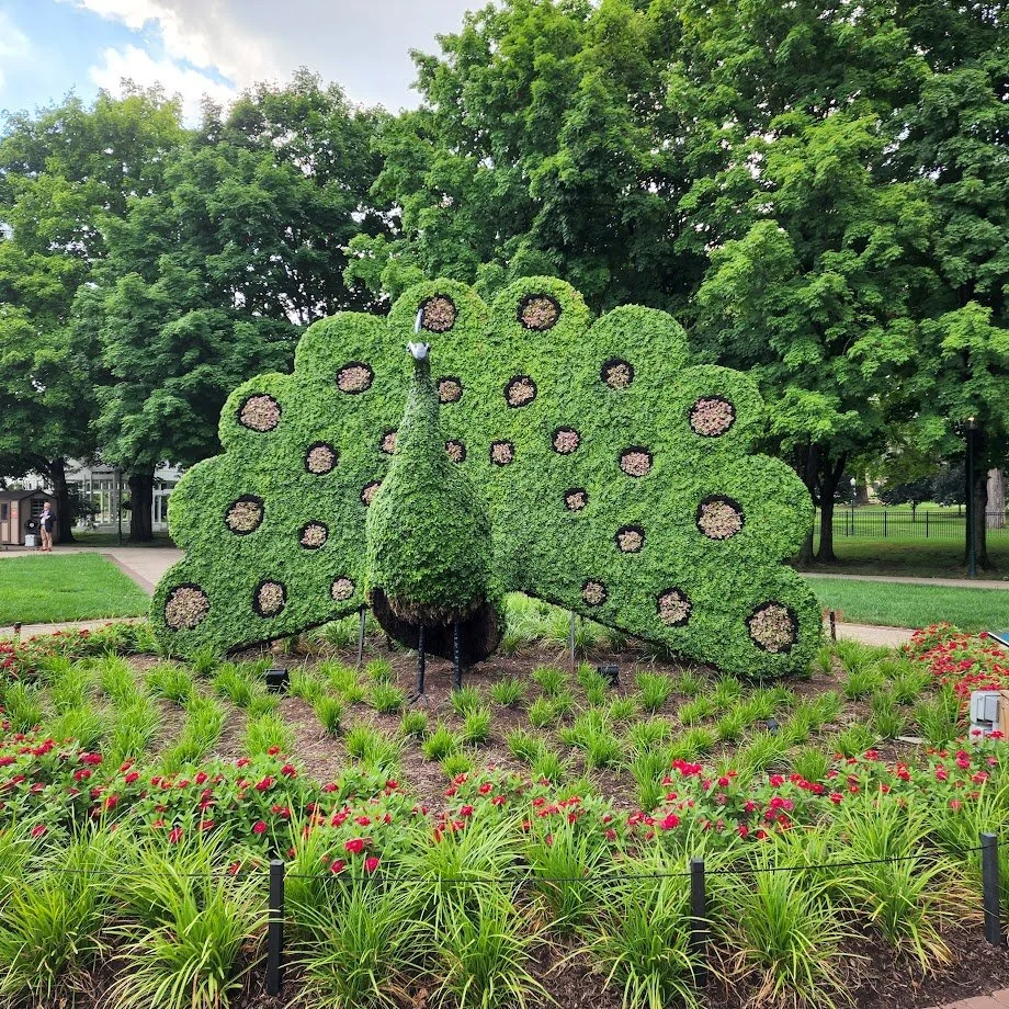 20220718_173933.jpg
