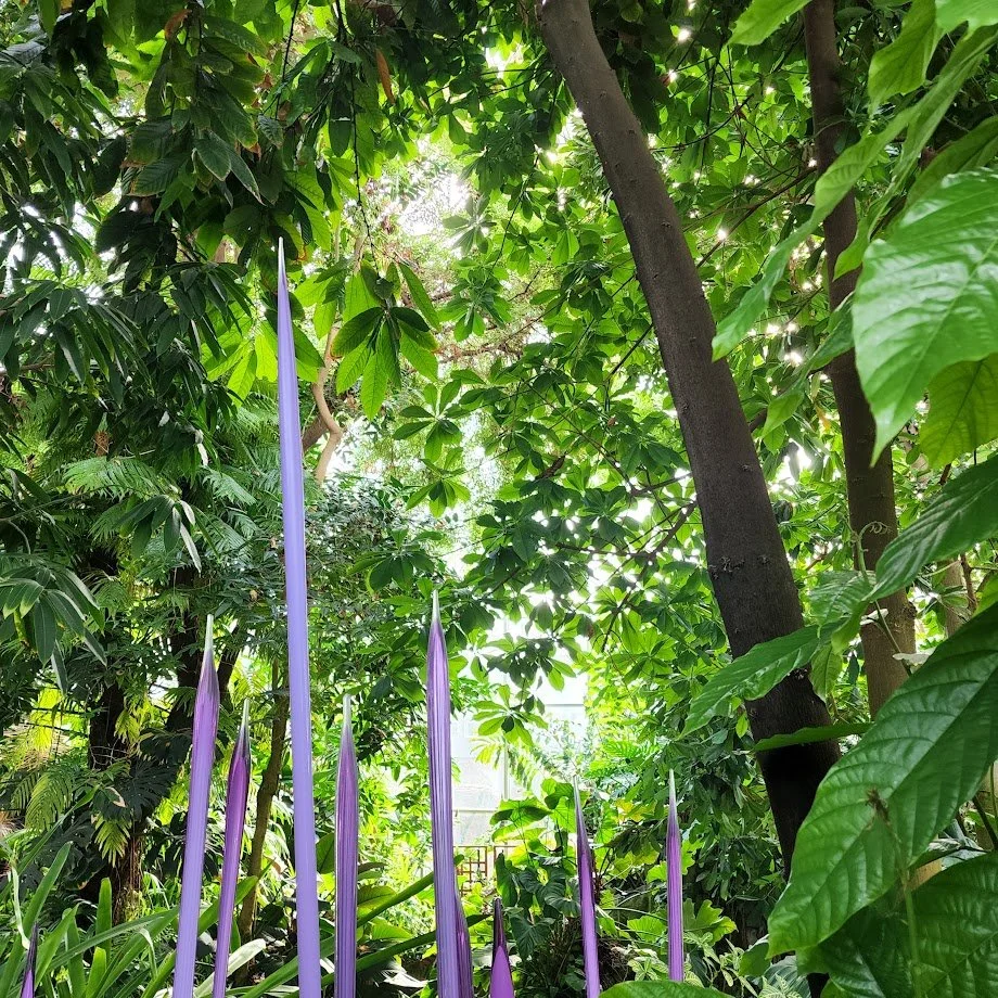 20220718_181158.jpg