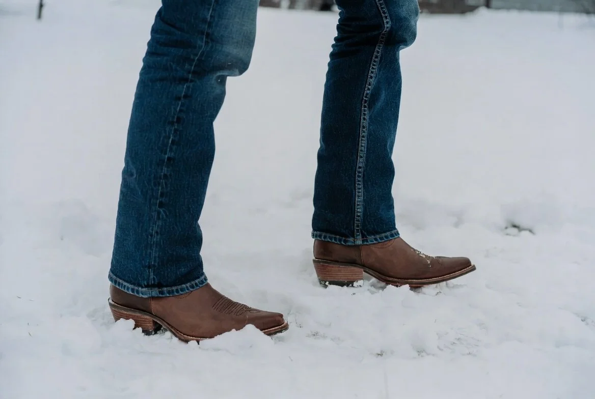 January 2026 Monthly Garden Guide