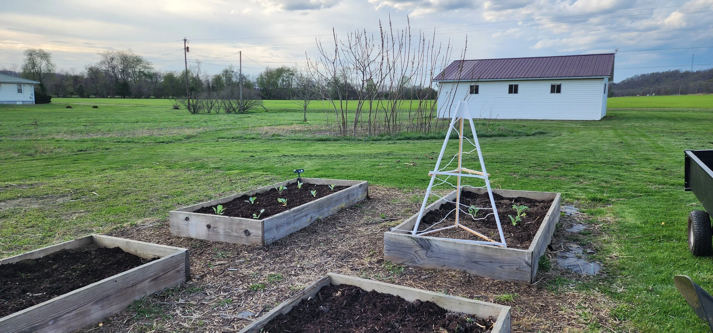 Jumpstarting Your Spring Garden