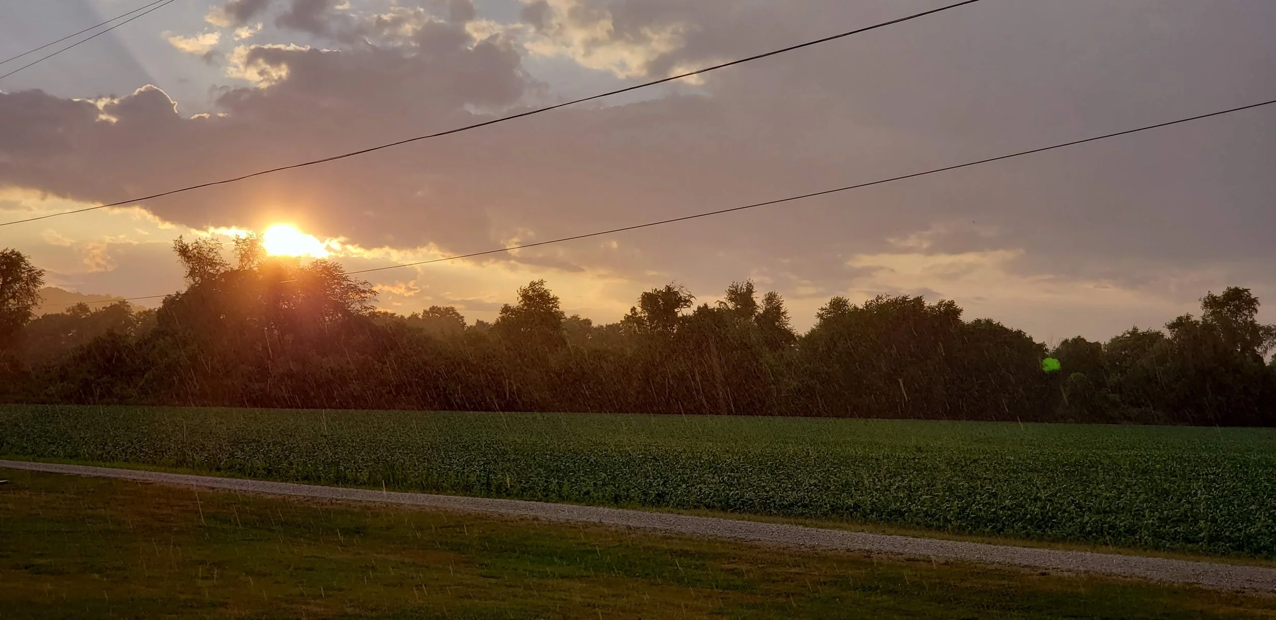 Replenish and Revive After Significant Rains