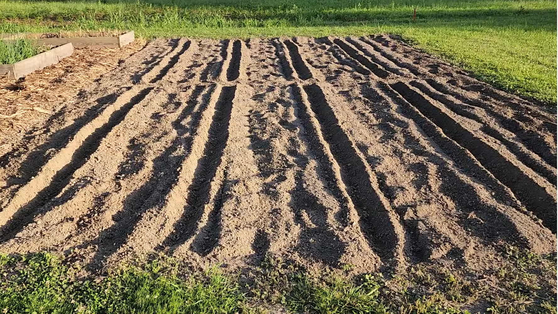 Summer Garden Planting