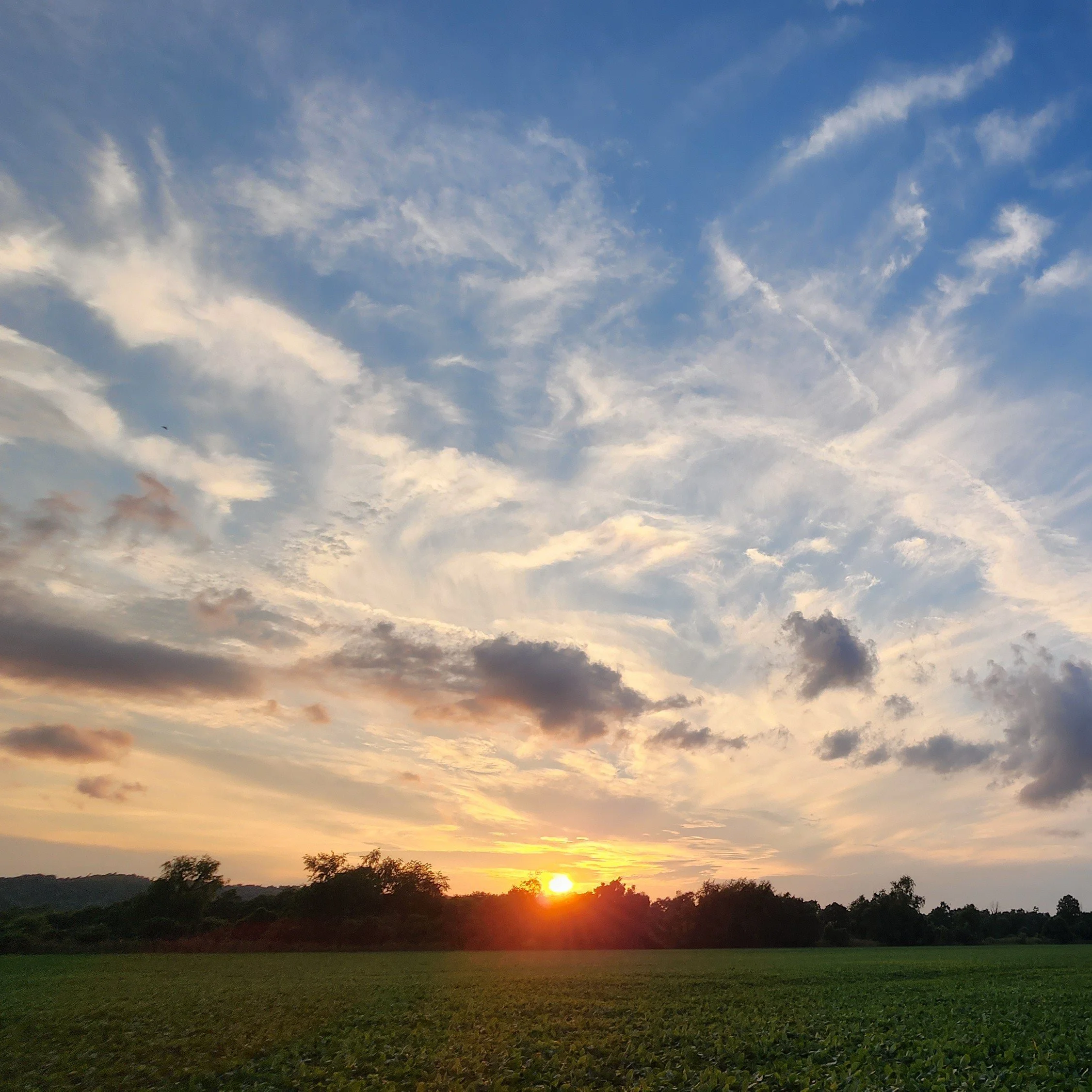 6.20.26 - Summer Solstice