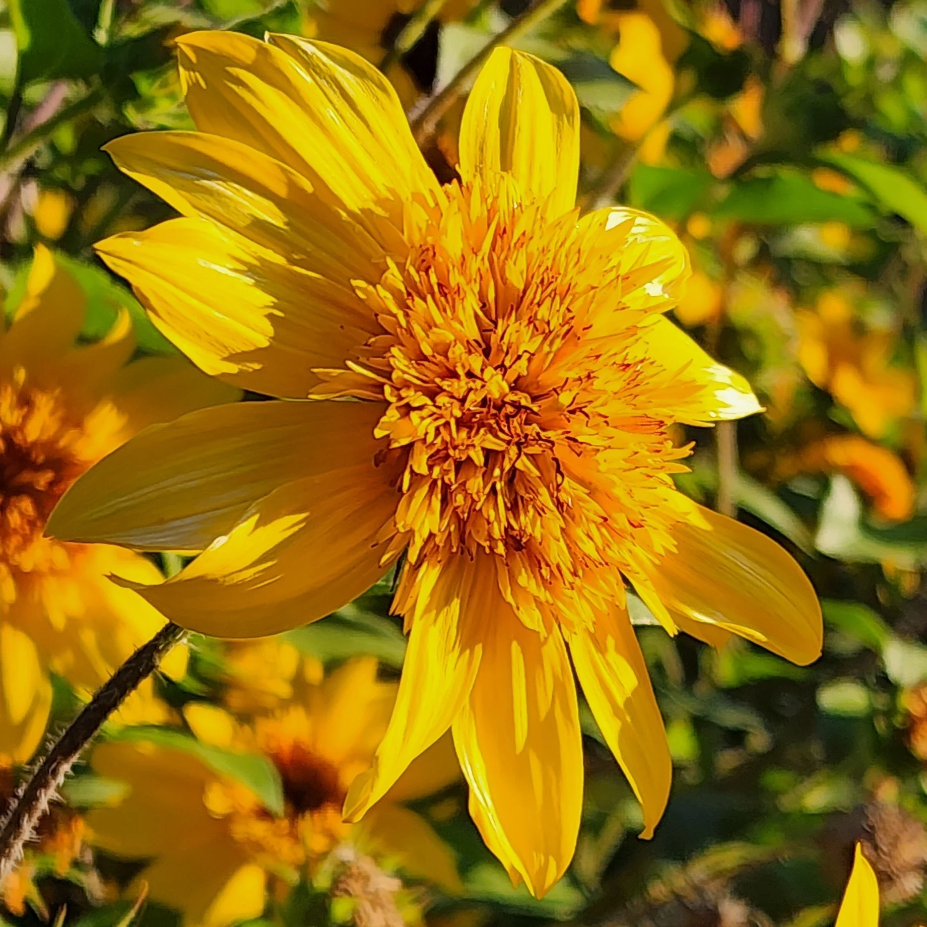 8.22.26 - Late Summer Color