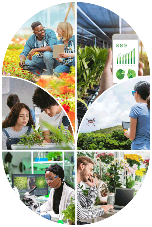 Exploring Green Careers — Bob's Market and Greenhouses