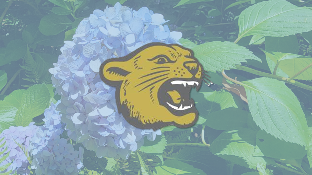 Frontier High School Tour