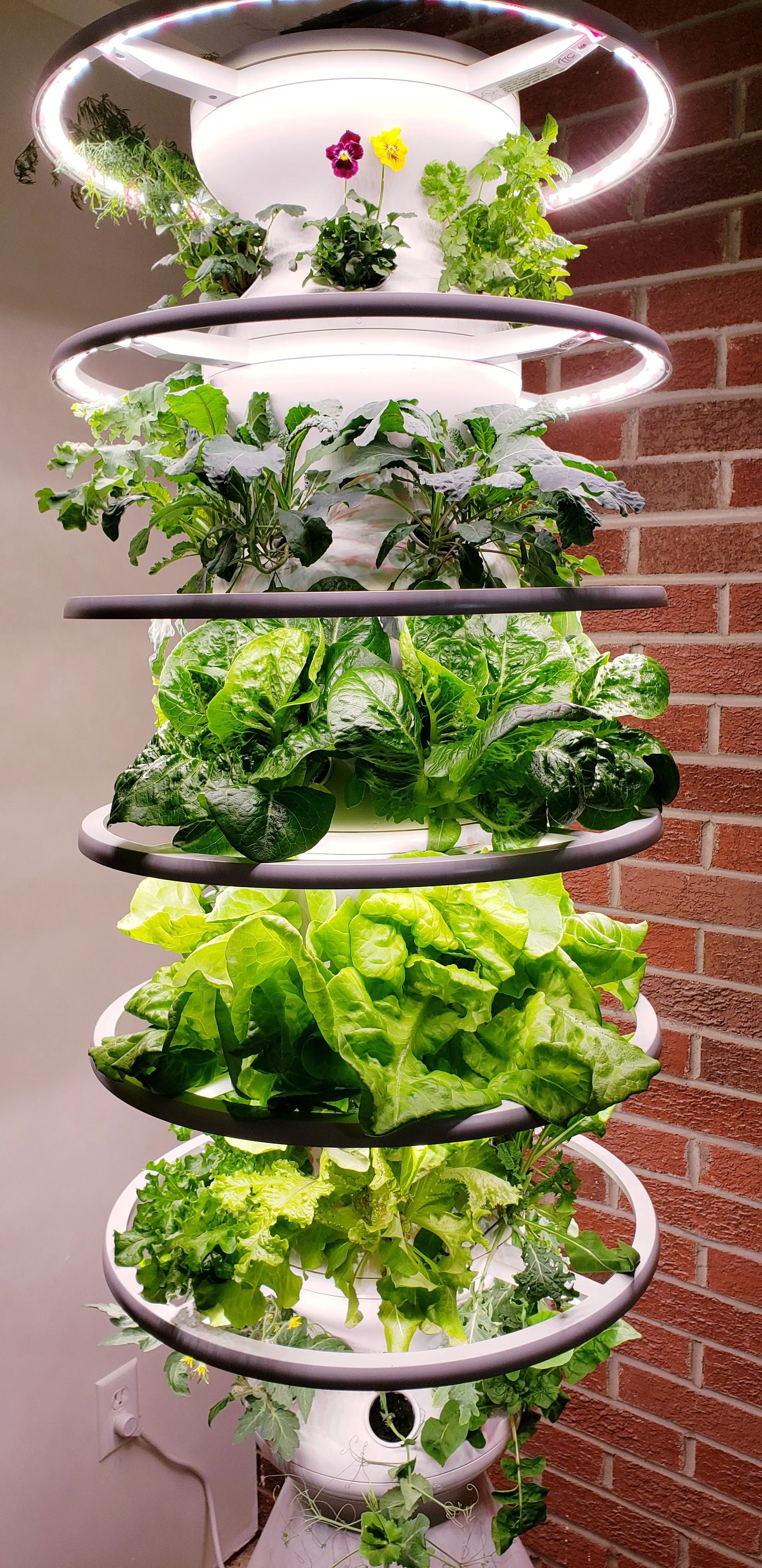 Edible Mixed Containers — Bob's Market and Greenhouses