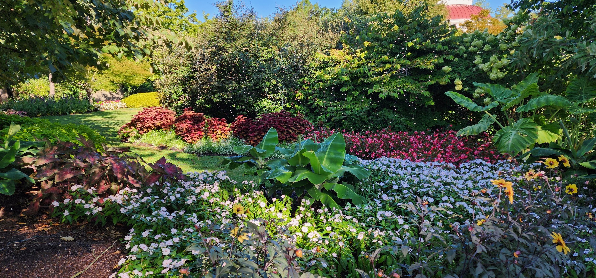 Keeping Your Annuals Going into Autumn