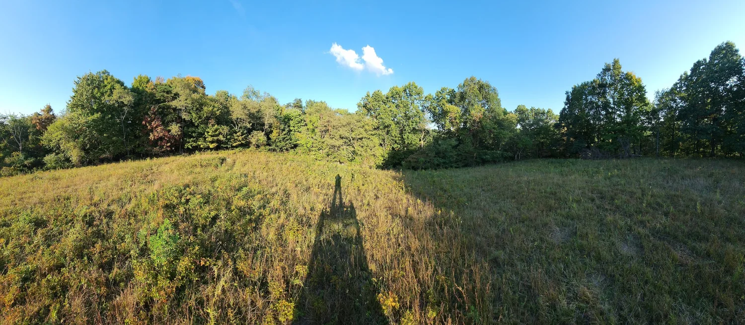 Planting Food Plots for Whitetail Deer Hunting — Bob's Market and ...