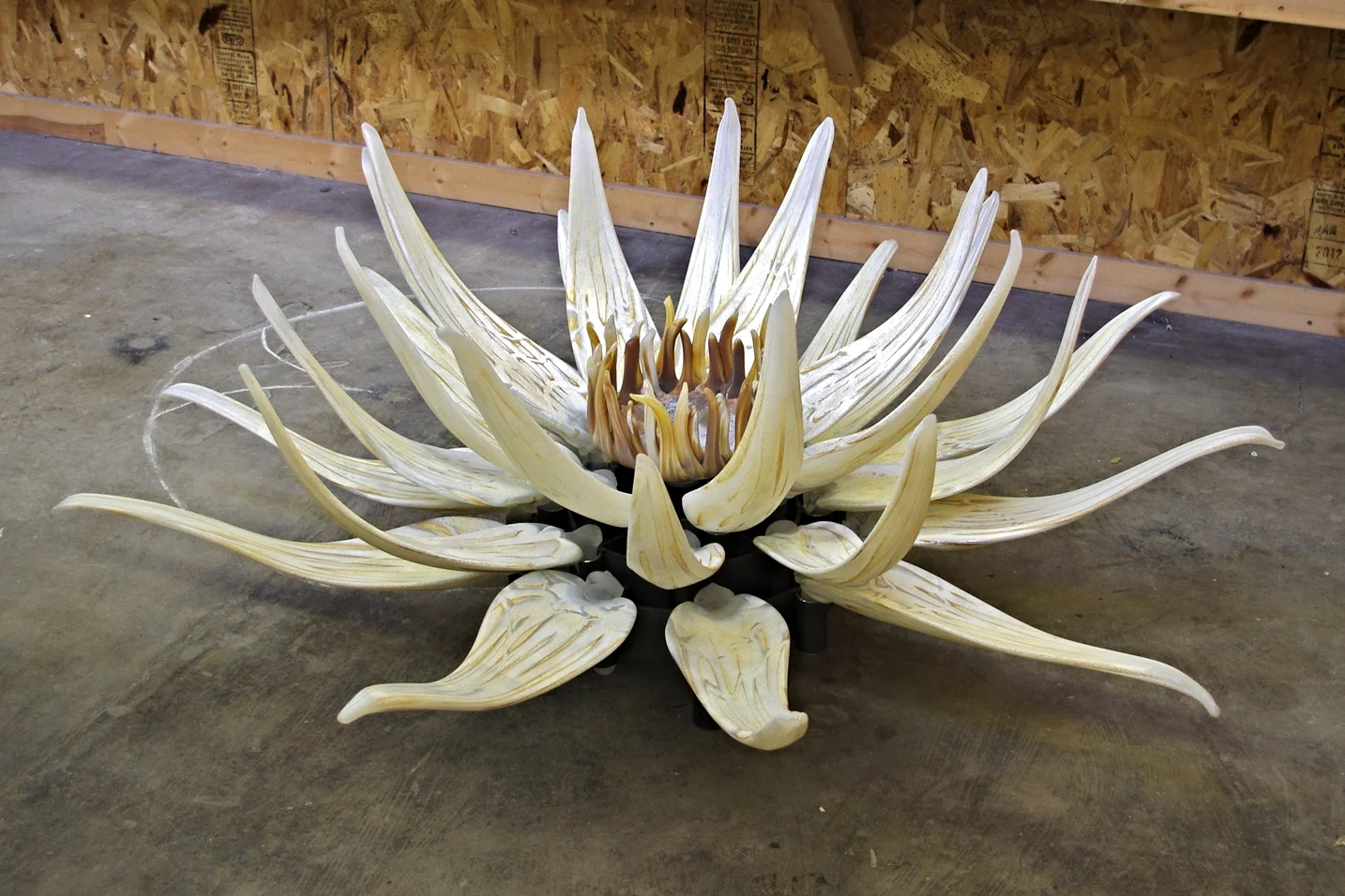 bone lily
