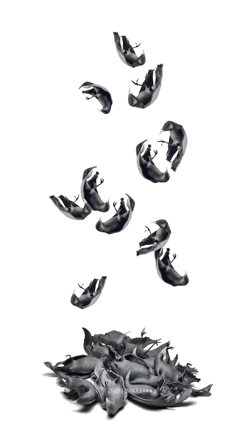 Repercussions