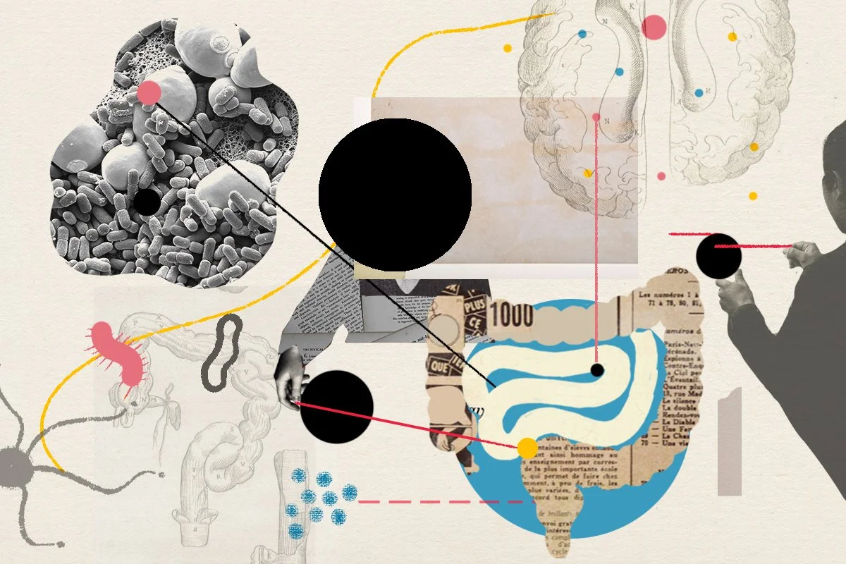 The Transmitter - Going against the gut: A Q&A on the autism-microbiome theory