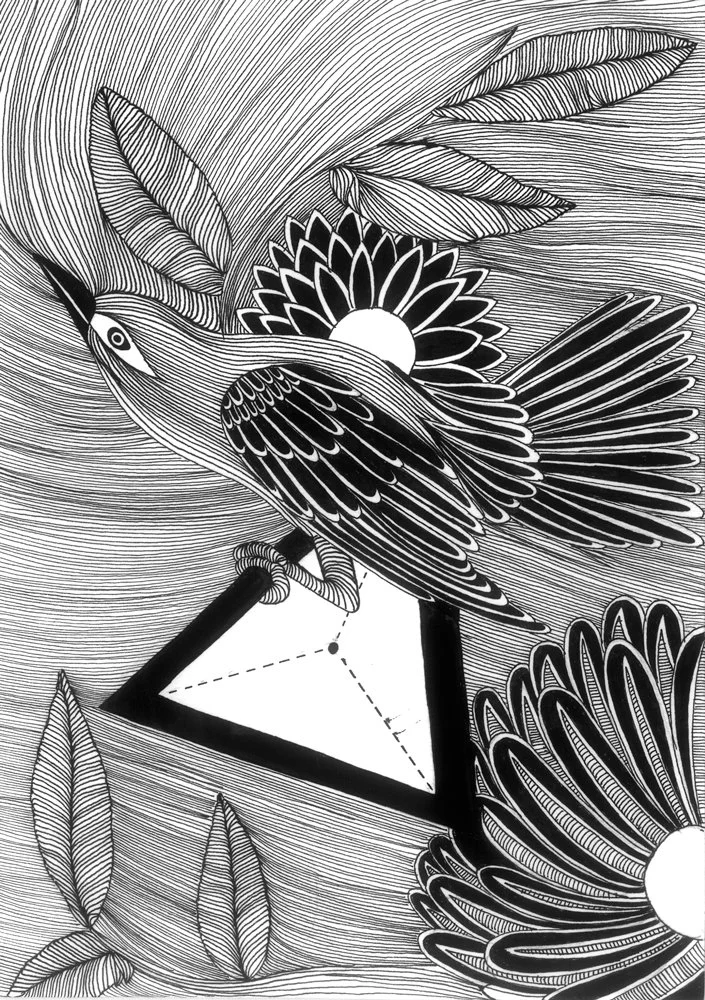BIRD_02.jpg