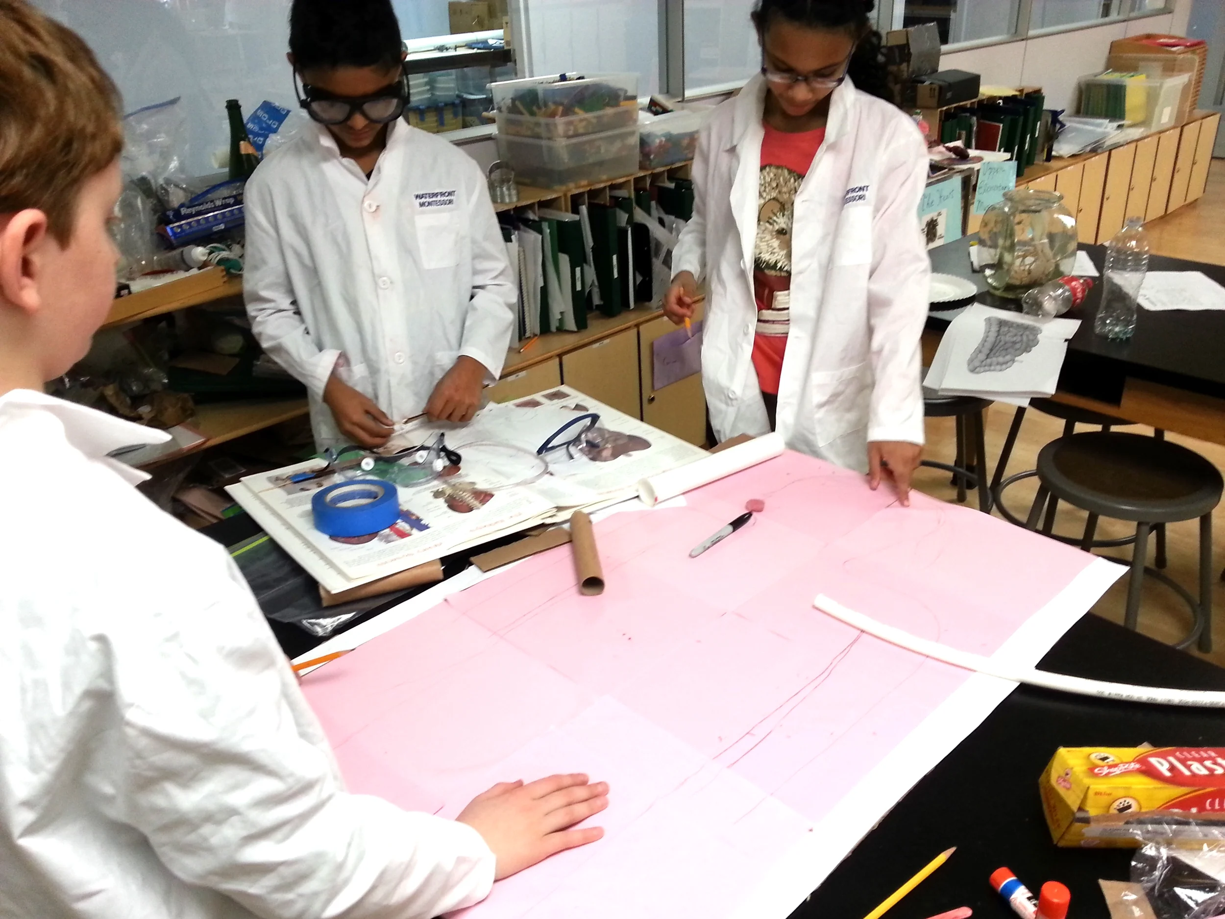 UE Science copy.jpg