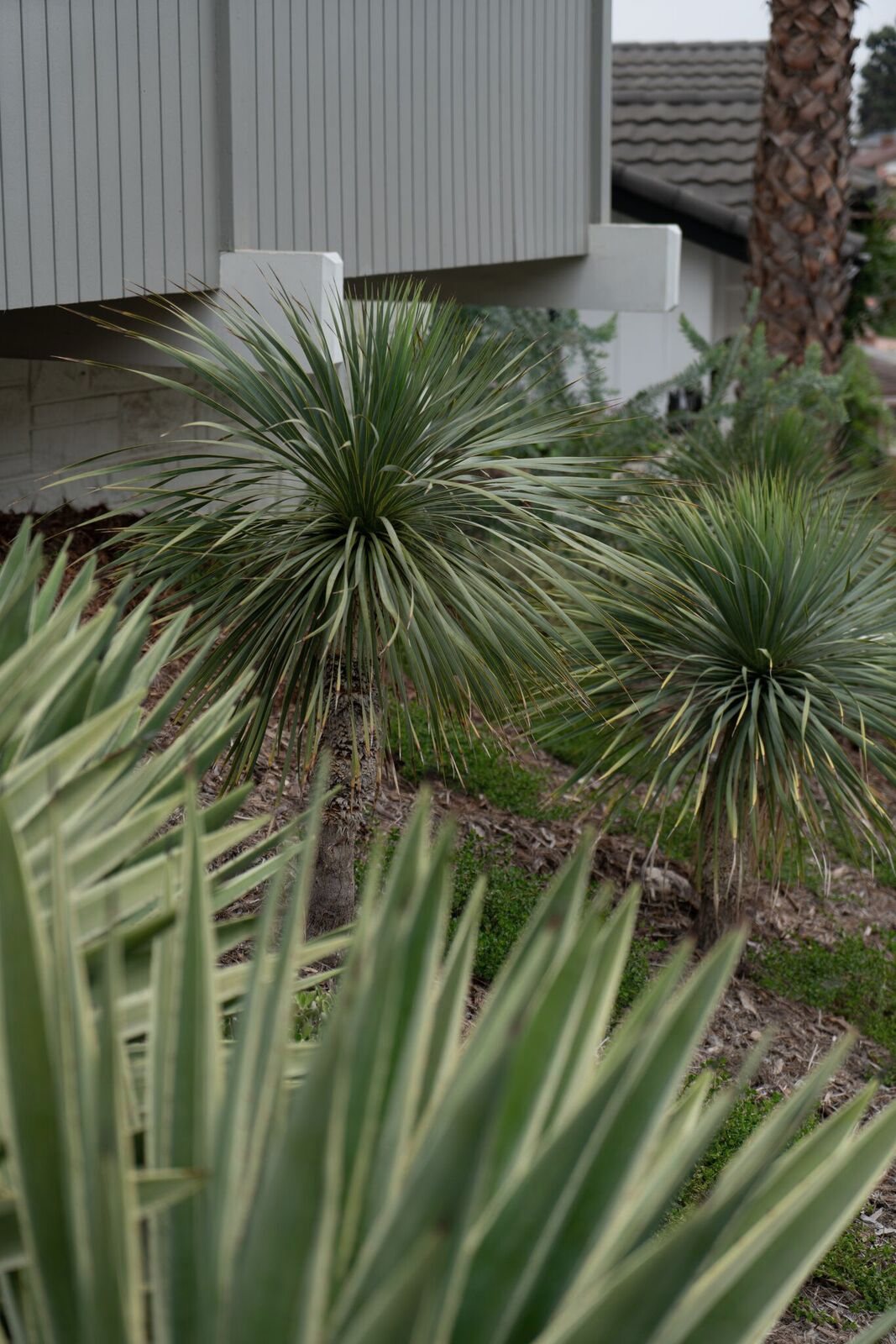 4265Hillcrest_02.png