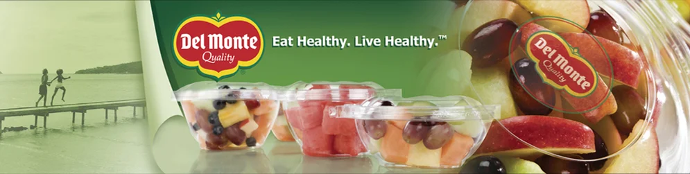 Designed and developed web banners