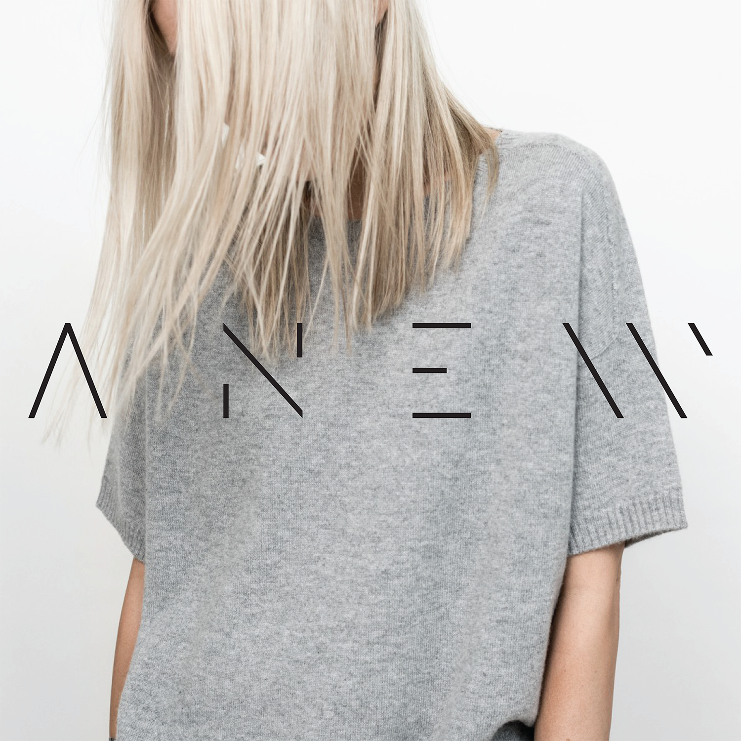 anew (1).png