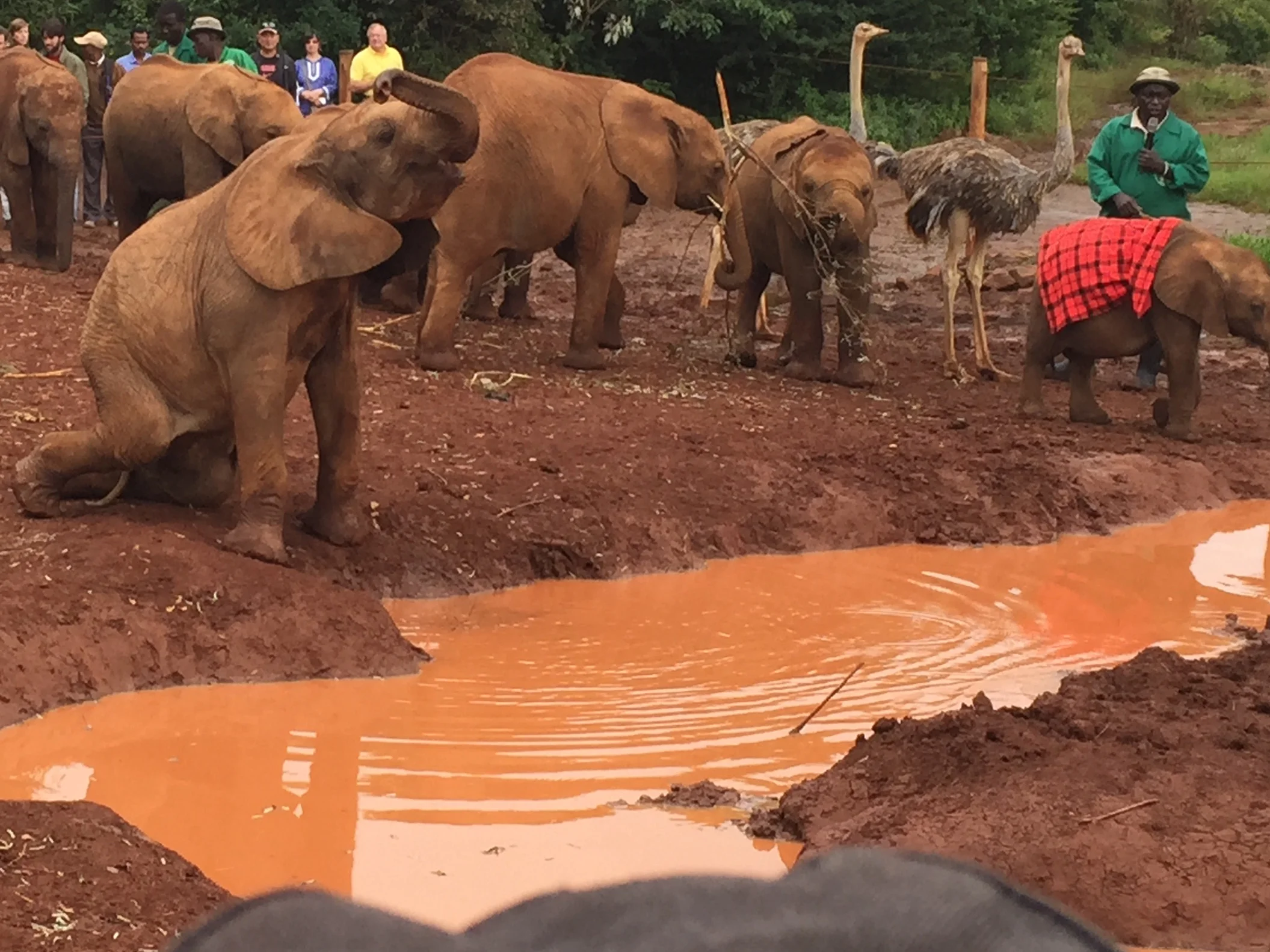 Kenya 2015 Favorites - 17 of 21.jpg