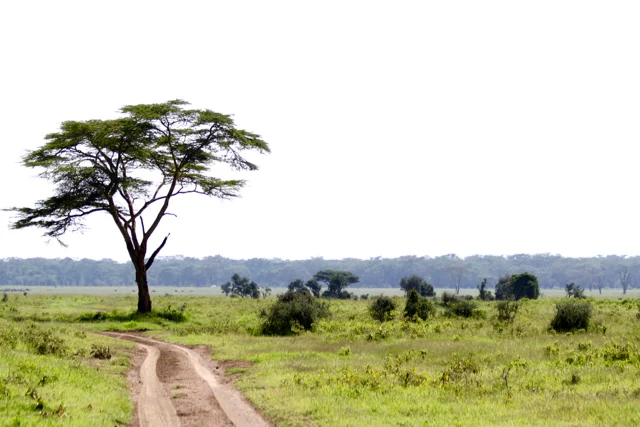 Lake Naivasha & Lake Nakuru
