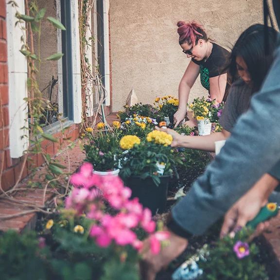 Purpose Over Politics