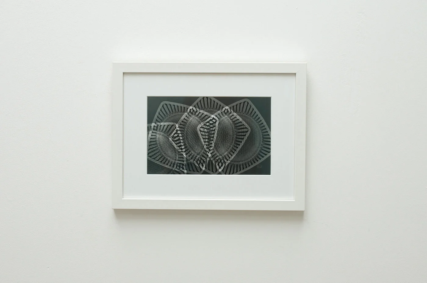 Inner structure No III; 2016 digital resin print, edition of 5 28 x 37cm framed 20.7 x 25.8cm unframed POA