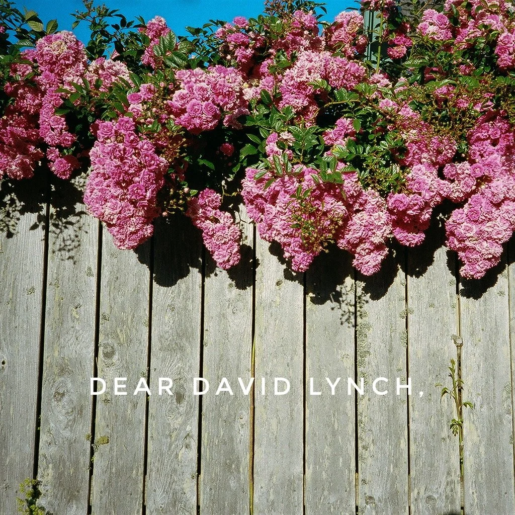 Dear David Lynch cover.JPG