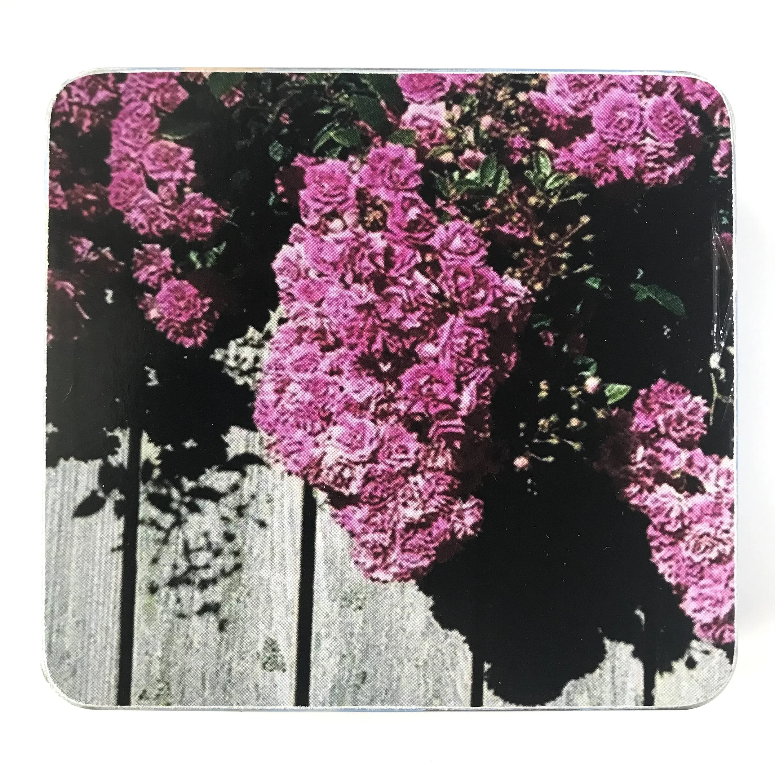 DDL Liner Note 1.JPG