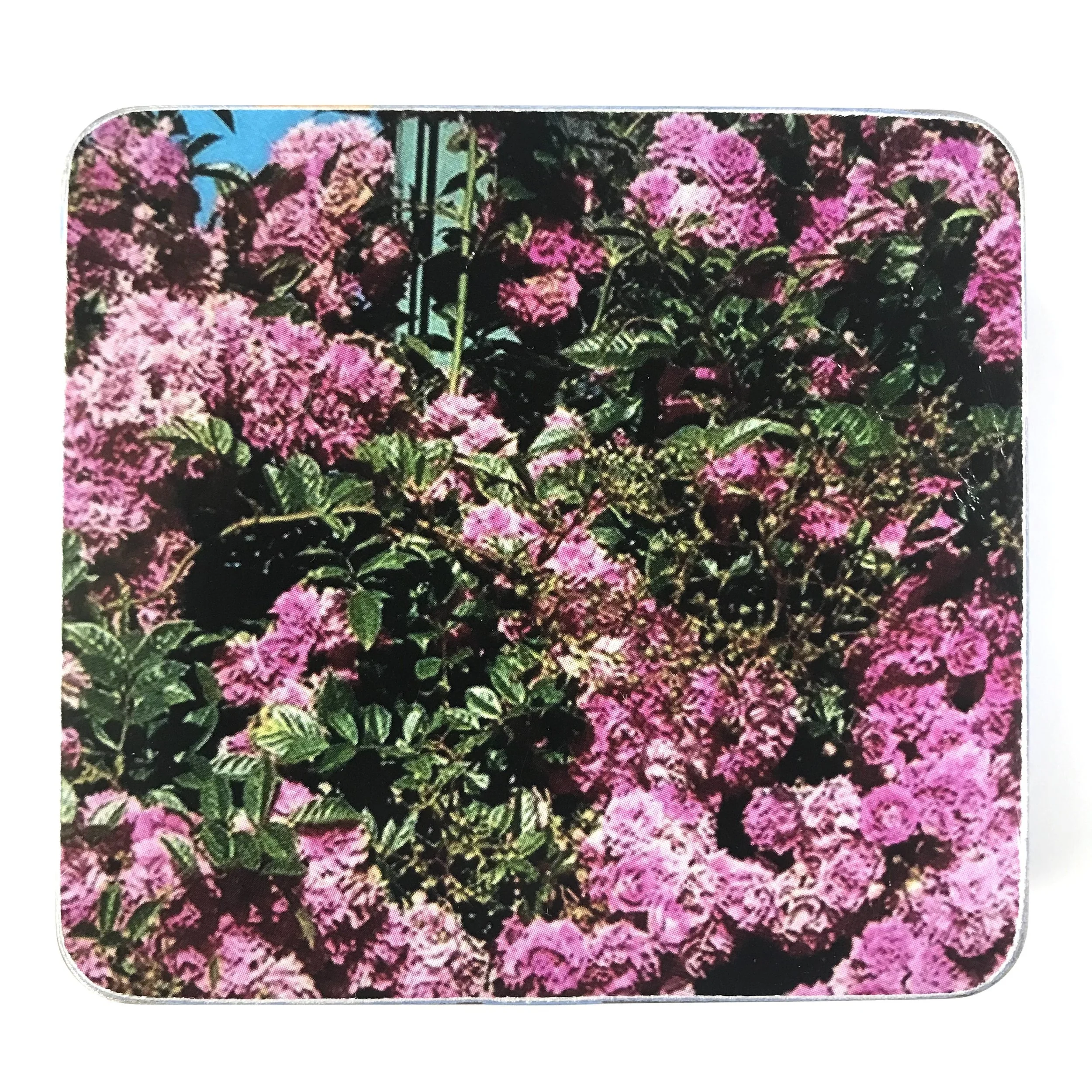 DDL Liner Note 4.JPG