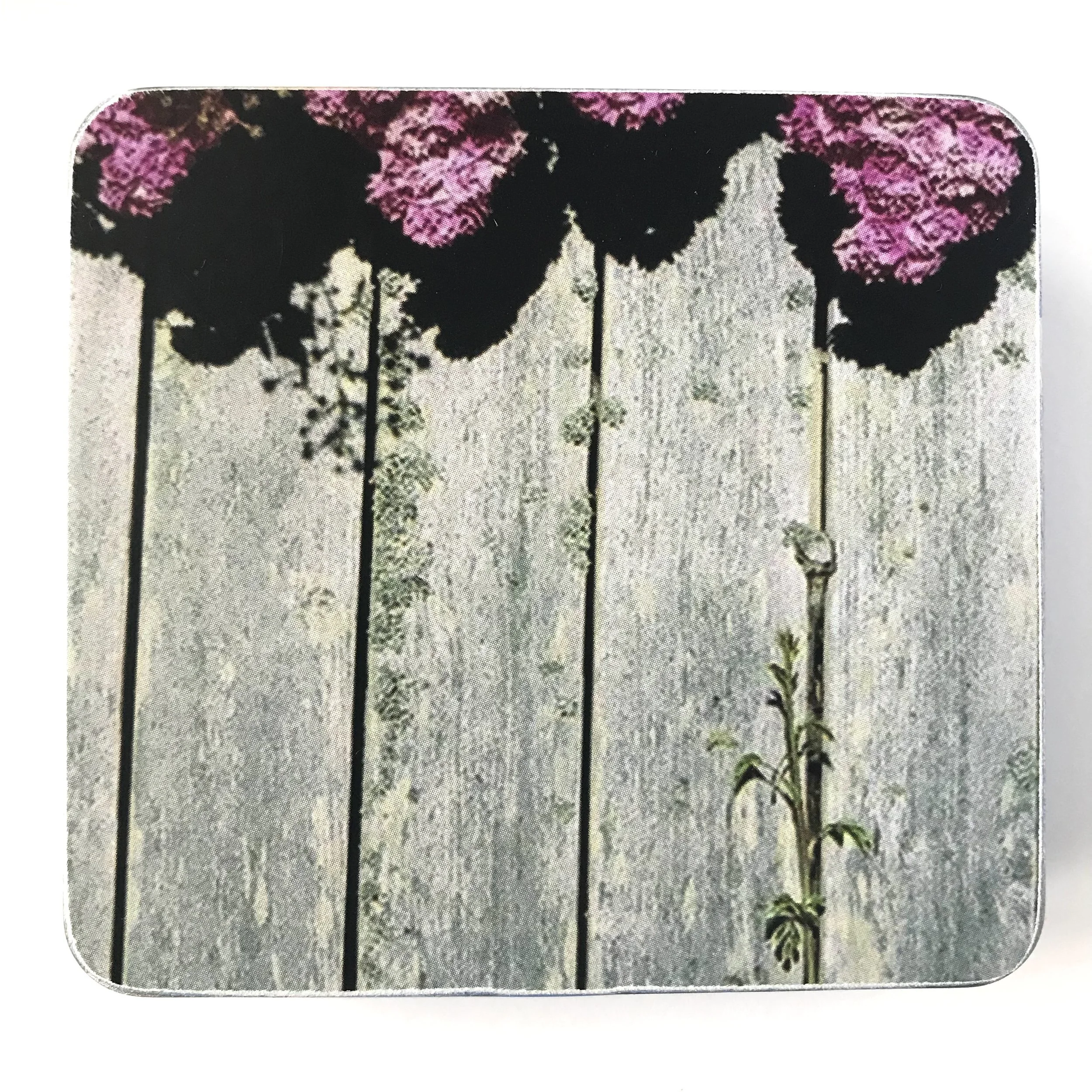 DDL Liner Note 5.JPG