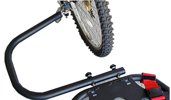 rex_bike.png