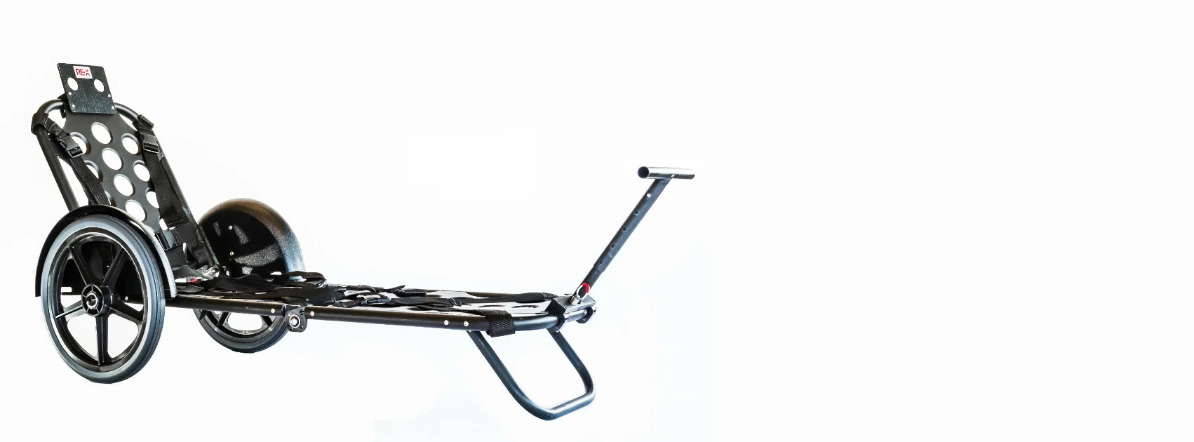 REXHeader4.jpg