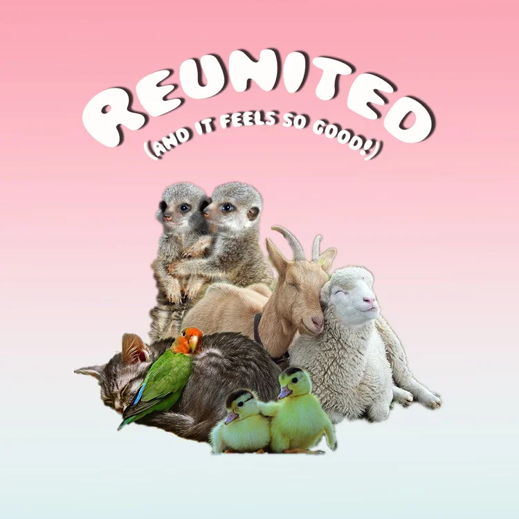 reunitedposter.jpg