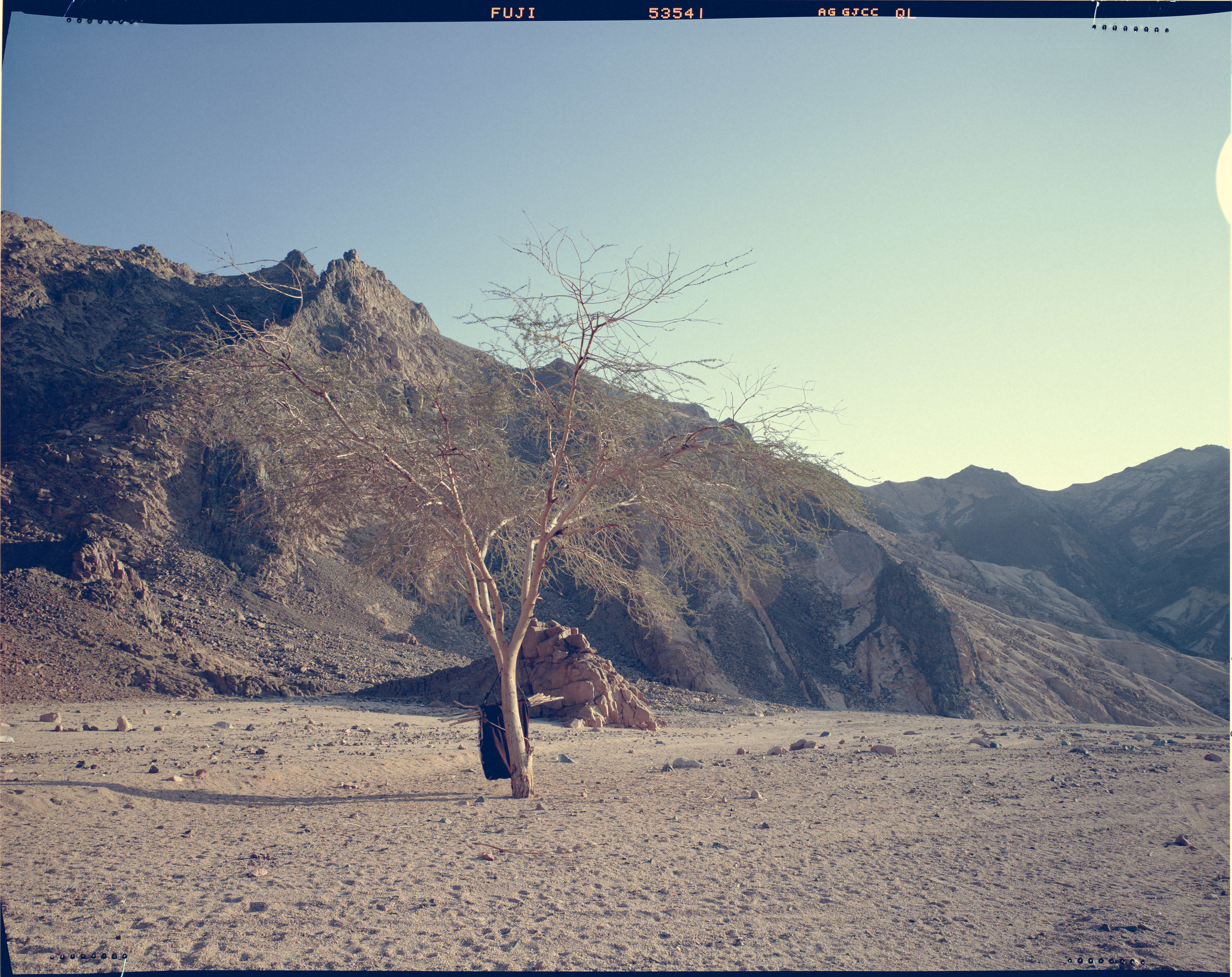Achmed's Tent, Sinai Desert.
